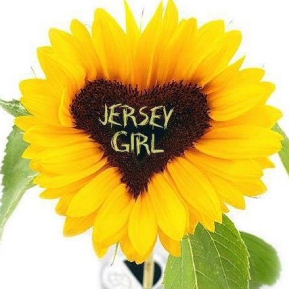 Meet your Posher, Elwy - Picture 1 of 1